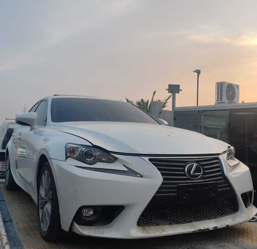 WhatsApp Image 2025-09-09 at 2.59.50 PM